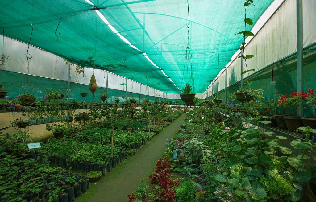 Pine Borough Inn Kodaikanal Exterior photo